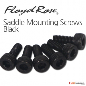 Saddle Mounting Screws(M)Black Floyd Rose 새들 마운팅 스크류 나사 6개